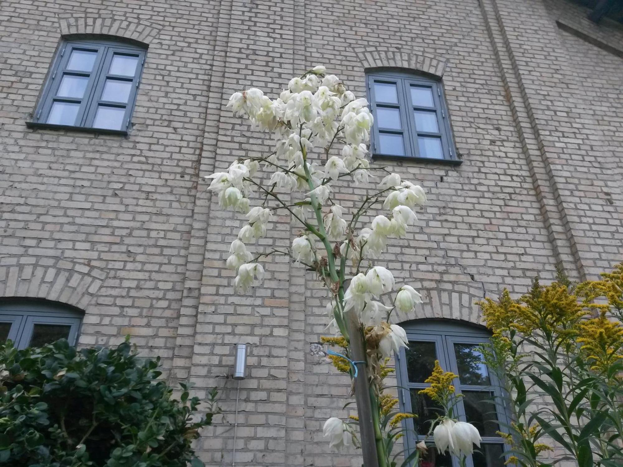 Skelstrupgaard Apartments Maribo Buitenkant foto